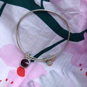 Alex and Ani February Birthstone